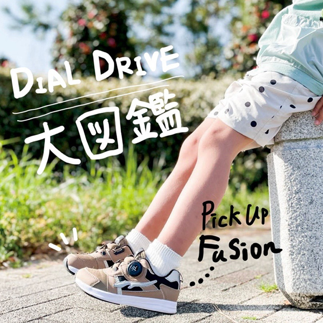 DIAL DRIVE大図鑑／FUSION