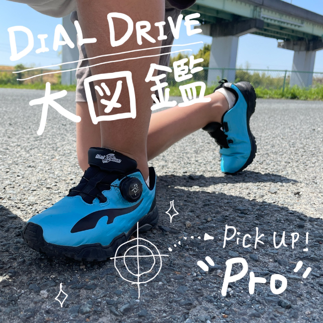 DIAL DRIVE大図鑑／PRO