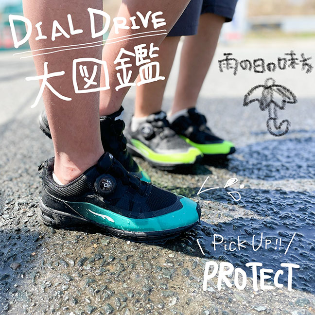 DIAL DRIVE大図鑑／PROTECT
